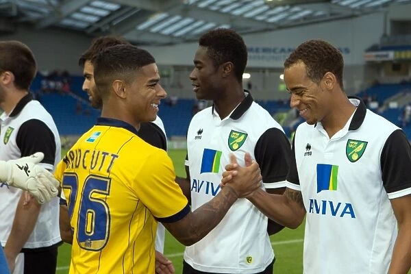 Brighton & Hove Albion vs Norwich City: 2013 Pre-Season Clash - Brighton's 2013-14 Campaign Kick-Off