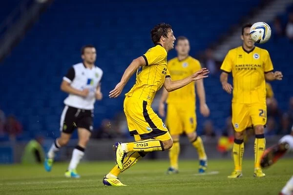 Brighton & Hove Albion vs Norwich City: Kickoff to the 2013-14 Season