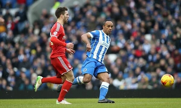 Brighton & Hove Albion vs Nottingham Forest: Chris O'Grady's Action-Packed Performance in Sky Bet Championship 2015