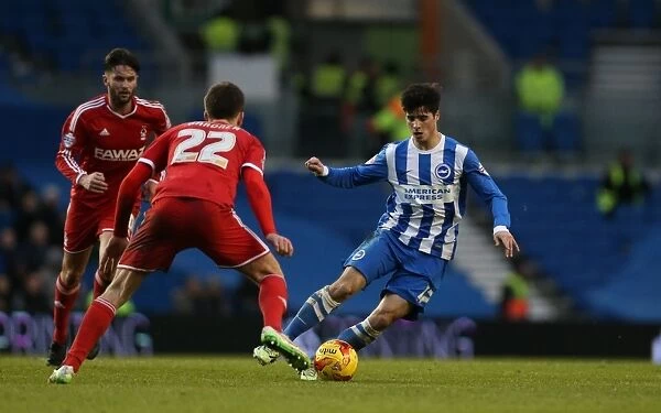 Brighton & Hove Albion vs Nottingham Forest: Joao Carlos Teixeira's Intense Midfield Battle in Sky Bet Championship (7th February 2015)