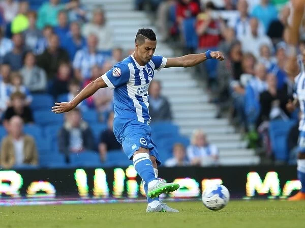 Brighton and Hove Albion vs. Nottingham Forest: Sky Bet Championship Showdown at American Express Community Stadium (July 2015)