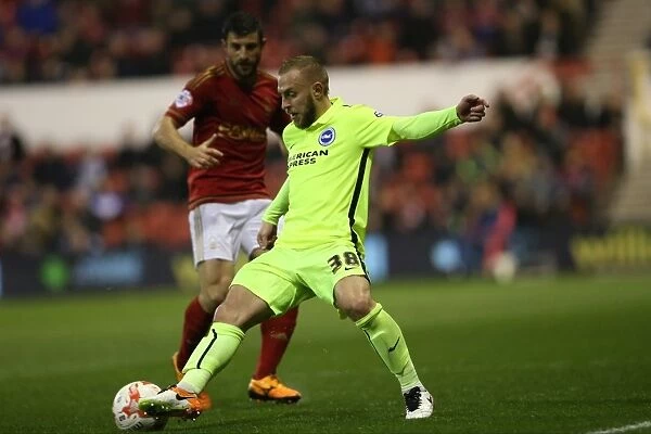 Brighton and Hove Albion vs. Nottingham Forest: Sky Bet Championship Showdown at City Ground (11APR16)