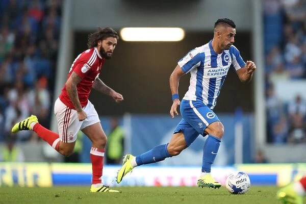 Brighton & Hove Albion vs. Nottingham Forest: Beram Kayal's Action-Packed Midfield Performance, EFL Sky Bet Championship (August 12, 2016)