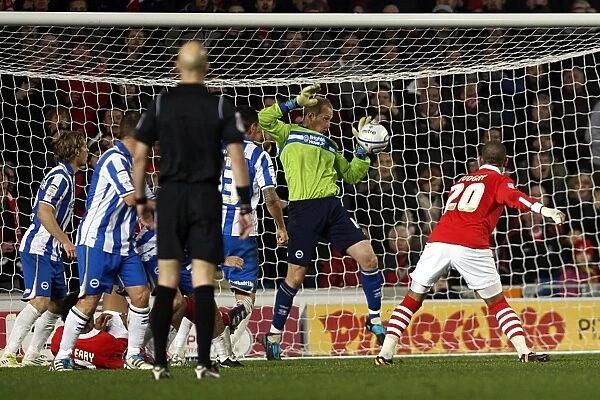 Brighton & Hove Albion vs. Nottingham Forest - 03-12-2011: A Look Back at the 2011-12 Season Home Game
