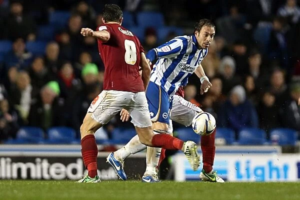 Brighton & Hove Albion vs. Nottingham Forest (15-12-2012): A Look Back at the 2012-13 Home Season - Nottingham Forest Game