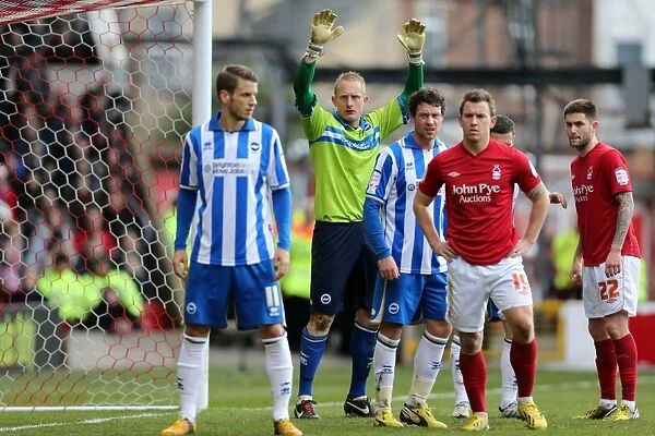 Brighton & Hove Albion vs. Nottingham Forest: 2012-13 Away Game