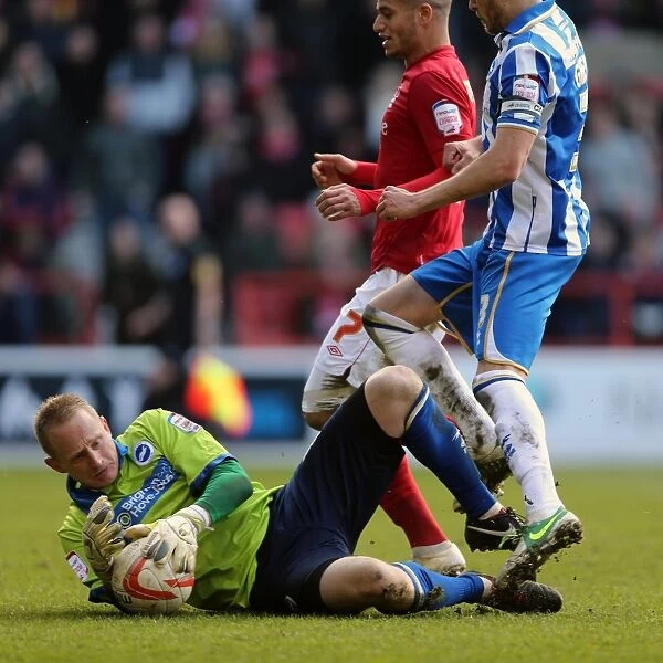 Brighton & Hove Albion vs. Nottingham Forest: Away Game - March 2013