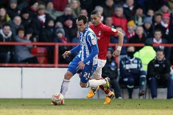Brighton & Hove Albion vs. Nottingham Forest (Away): A Look Back at the 2012-13 Season's Game