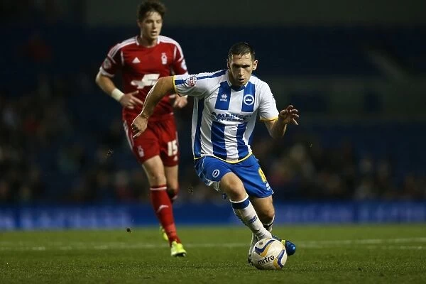 Brighton & Hove Albion vs. Nottingham Forest: 5-10-2013 - A 5-1 Victory at Home (2013-14 Season)