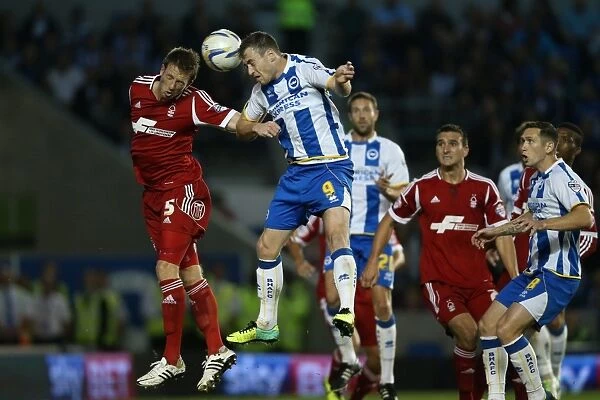 Brighton & Hove Albion vs. Nottingham Forest: 5-10-2013 - A Home Victory from the 2013-14 Season