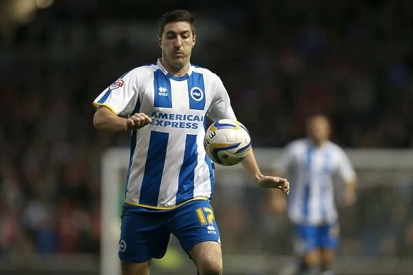 Brighton & Hove Albion vs. Nottingham Forest (2013-14): A Home Game
