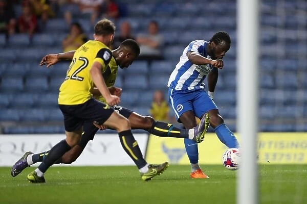 Brighton and Hove Albion vs. Oxford United: EFL Cup Battle at Kassam Stadium (23 / 08 / 2016)