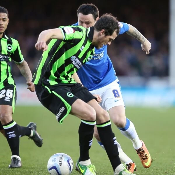Brighton & Hove Albion vs. Peterborough United (Away): A Look Back at the Thrilling 2012-13 Season Game on April 16
