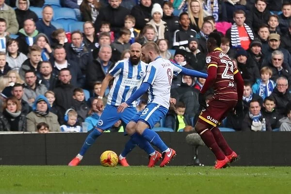 Brighton and Hove Albion vs. Queens Park Rangers: A Fierce Championship Clash at the American Express Community Stadium (27DEC16)