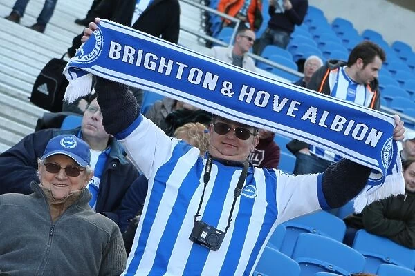 Brighton & Hove Albion vs. Reading - 2013-14 Season: Home Game Highlights (8-3-2014)