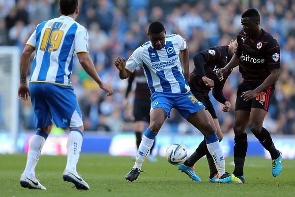 Brighton & Hove Albion vs. Reading - 2013-14 Season: Home Game Highlights (8-3-2014)
