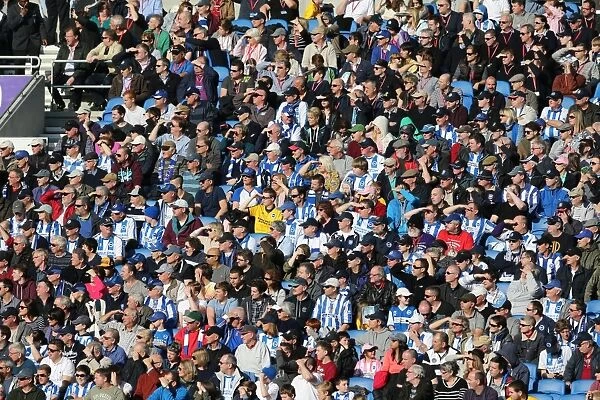 Brighton & Hove Albion vs. Reading: A 2013-14 Home Game (08-03-2014)