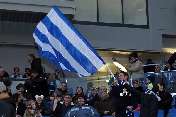 Brighton & Hove Albion vs. Reading (F.A. Cup), January 4, 2014: Home Game in the 2013-14 Season