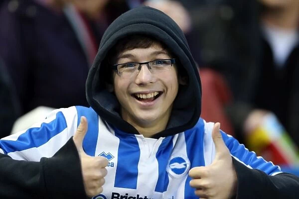 Brighton & Hove Albion vs. Reading (F.A. Cup) - Home Game, January 4, 2014 (2013-14 Season): A Home Victory