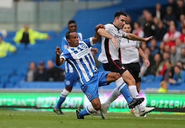 Brighton & Hove Albion vs Rotherham United at American Express Community Stadium, October 2014: Chris O'Grady in Action