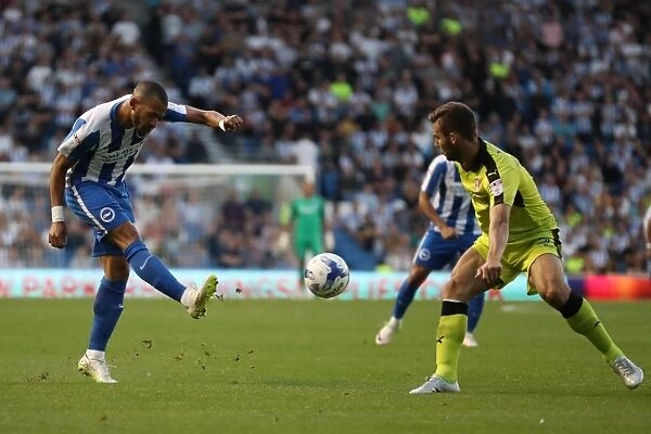 Brighton and Hove Albion vs Rotherham United: Sky Bet Championship Showdown at American Express Community Stadium (August 16, 2016)