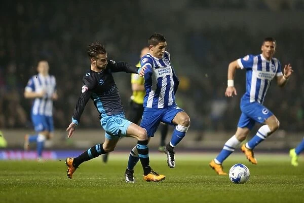 Brighton and Hove Albion vs. Sheffield Wednesday: Intense Sky Bet Championship Clash (08.03.2016)