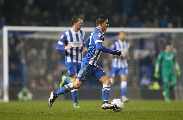 Brighton and Hove Albion vs. Sheffield Wednesday: Clash in the Sky Bet Championship (08.03.2016)