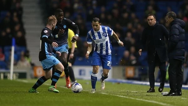 Brighton and Hove Albion vs. Sheffield Wednesday: Intense Clash in the Sky Bet Championship (08.03.2016)