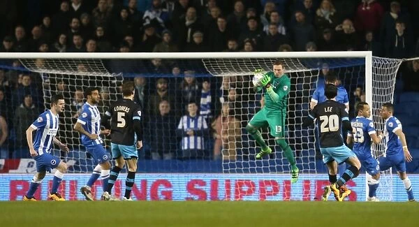 Brighton and Hove Albion vs. Sheffield Wednesday: Sky Bet Championship Clash (08.03.2016)
