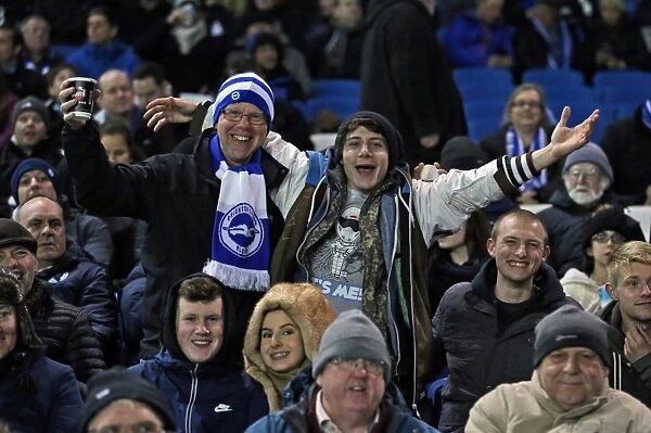 Brighton and Hove Albion vs. Sheffield Wednesday: A Battle in the Sky Bet Championship (08.03.2016)