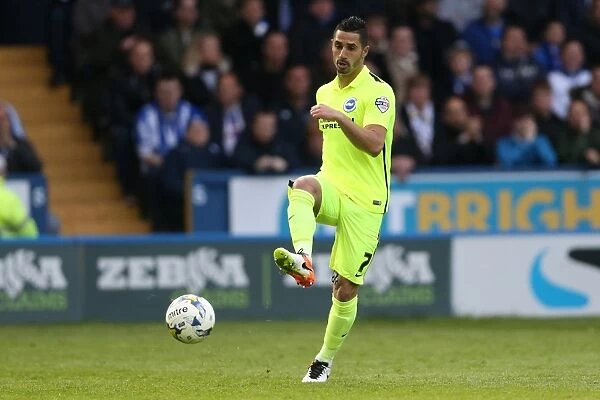 Brighton and Hove Albion vs. Sheffield Wednesday: Championship Play-Off Clash at Hillsborough (May 2016)