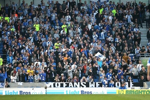 Brighton and Hove Albion vs. Sheffield Wednesday: Sky Bet Championship Play-Off Showdown (16 May 2016)