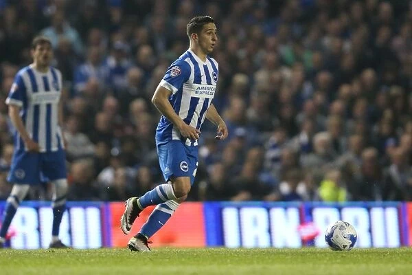 Brighton & Hove Albion vs Sheffield Wednesday: 2016 Championship Play-Off Clash at the American Express Community Stadium