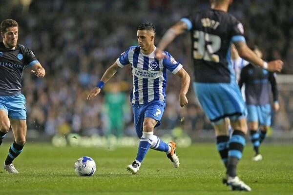Brighton and Hove Albion vs. Sheffield Wednesday: Championship Play-Off Showdown at American Express Community Stadium (May 16, 2016)