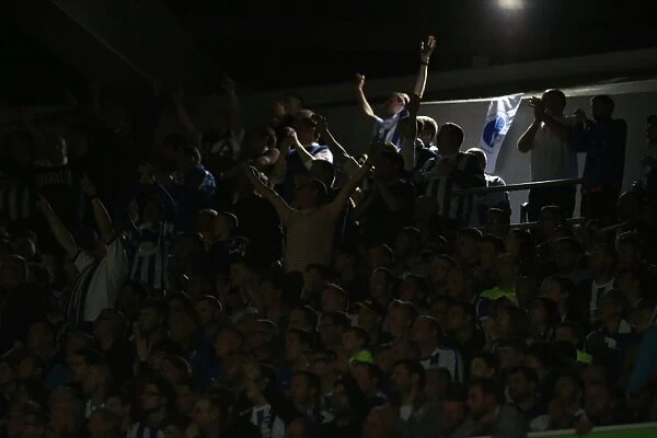 Brighton and Hove Albion vs. Sheffield Wednesday: Play-Off Showdown at the American Express Community Stadium (16 May 2016)
