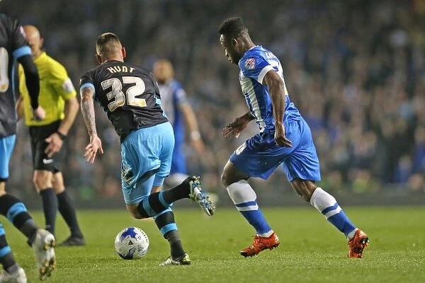 Brighton and Hove Albion vs. Sheffield Wednesday: Championship Play-Off Showdown at American Express Community Stadium (16 May 2016)