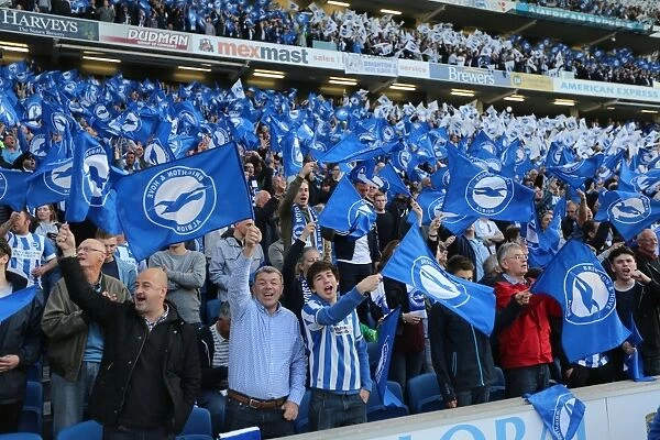 Brighton and Hove Albion vs Sheffield Wednesday: Sky Bet Championship Play-Off Showdown at the American Express Community Stadium (16 May 2016)