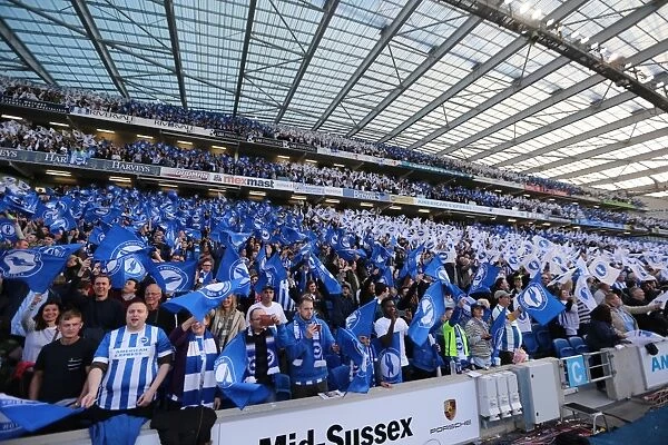 Brighton & Hove Albion vs Sheffield Wednesday: Championship Play-Off Showdown at the American Express Community Stadium (16 May 2016)