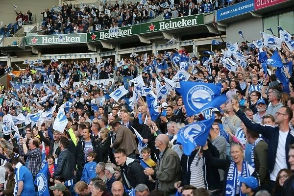 Brighton and Hove Albion vs Sheffield Wednesday: Sky Bet Championship Play-Off Showdown at American Express Community Stadium (May 16, 2016)