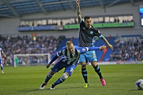 Brighton and Hove Albion vs Sheffield Wednesday: 2016 Sky Bet Championship Play-Off Clash at American Express Community Stadium