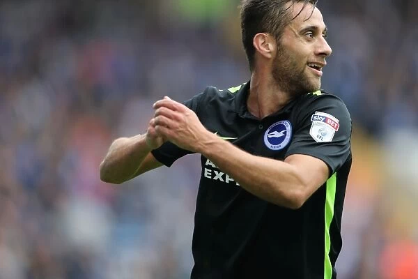 Brighton and Hove Albion vs Sheffield Wednesday: A Battle in the Sky Bet Championship (1st October 2016)