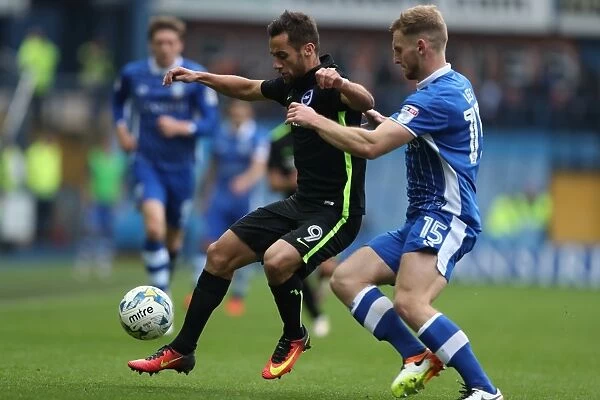 Brighton and Hove Albion vs. Sheffield Wednesday: A Battle in the Sky Bet Championship (1st October 2016)