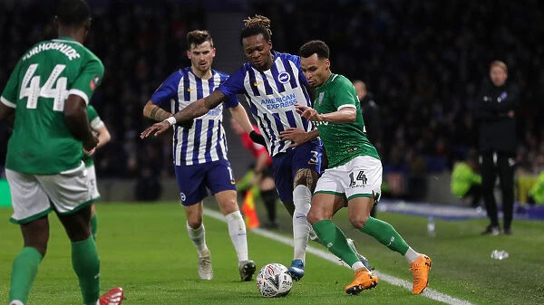Brighton & Hove Albion vs Sheffield Wednesday: FA Cup Clash at American Express Community Stadium (04JAN20)