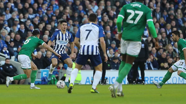 Brighton & Hove Albion vs. Sheffield Wednesday: FA Cup Battle at American Express Community Stadium (04.01.20)