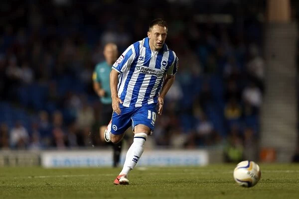 Brighton & Hove Albion vs. Sheffield Wednesday: Revisiting the Thrills of the 14-09-2012 Home Game