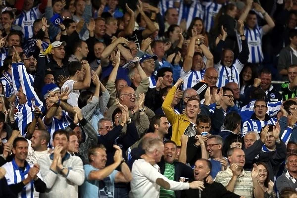 Brighton & Hove Albion vs. Sheffield Wednesday (2012-13): A Look Back at Our Past - Home Game Highlights, September 14, 2012