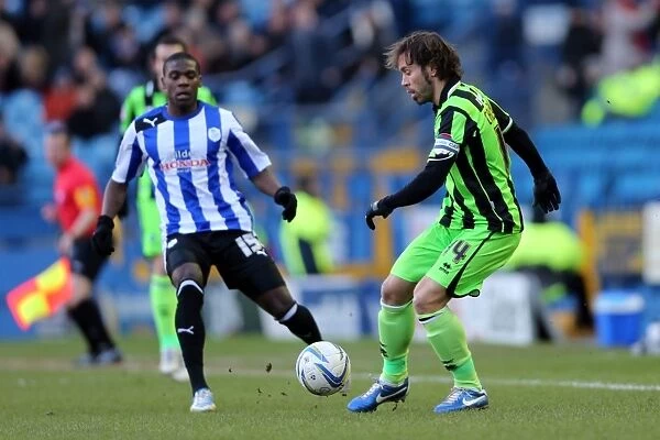 Brighton & Hove Albion vs Sheffield Wednesday: 2012-13 Away Game