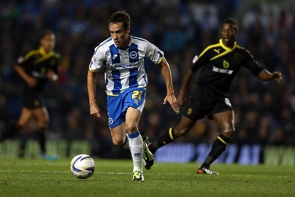 Brighton & Hove Albion vs. Sheffield Wednesday (2013-14): Home Game Highlights (1-10-2013)