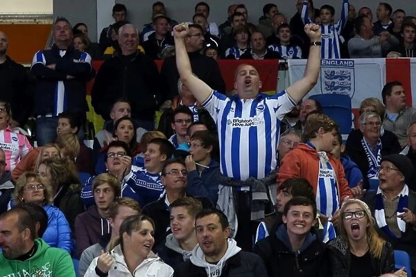 Brighton & Hove Albion vs. Sheffield Wednesday (2013-14): Home Game Highlights - October 1, 2013