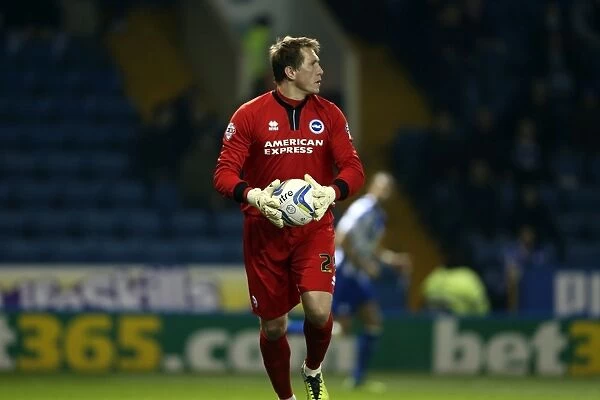 Brighton & Hove Albion vs. Sheffield Wednesday (Away Game - March 25, 2014)